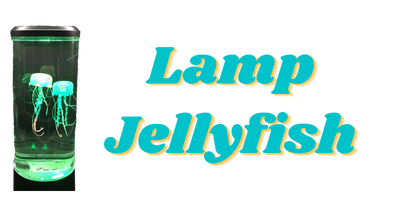 Lamp Jellyfish