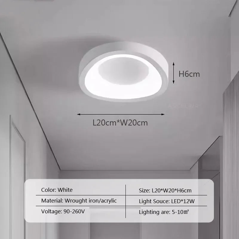 Nordic LED Ceiling Lamp For Living Dining Room Bedroom