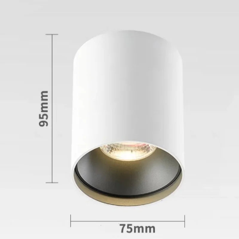 Electroplated Gold Surface Mounted Ceiling Light