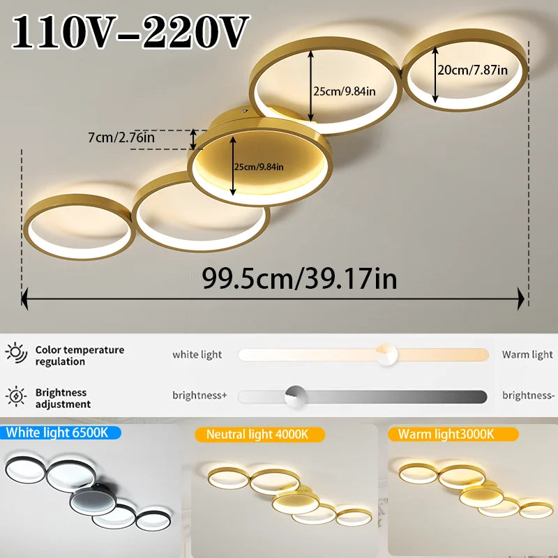 LED Ceiling Light 110v 220v 3 Colors Dimming Modern Lamp