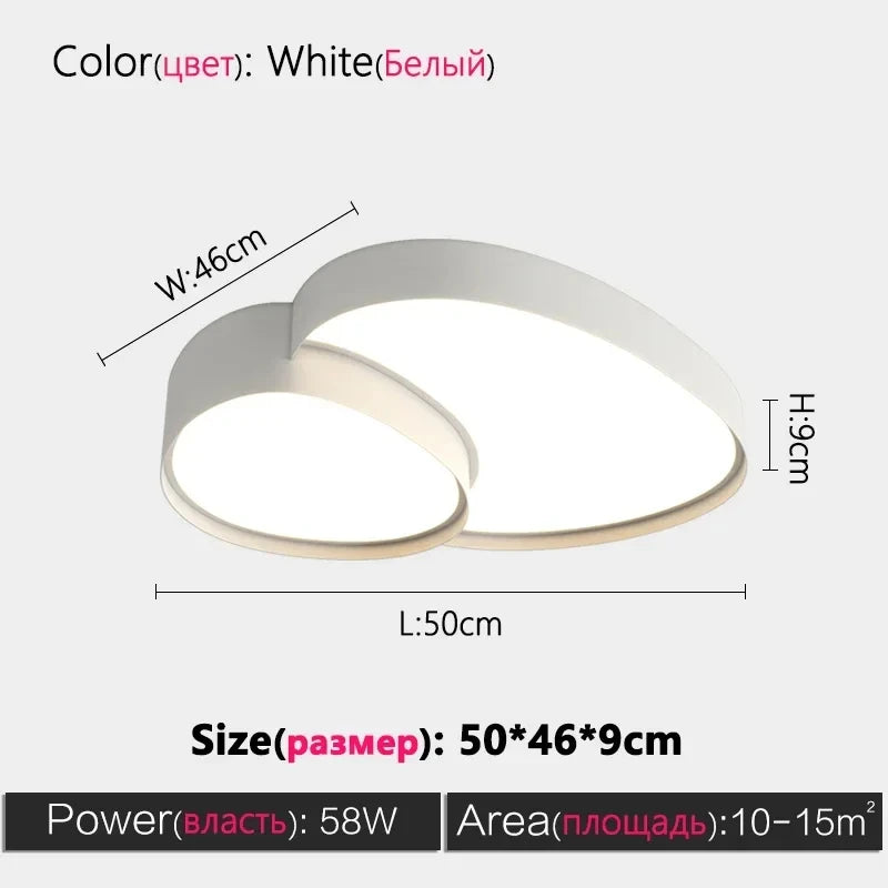 Remote Control Light Modern Simple LED Ceiling Lamp