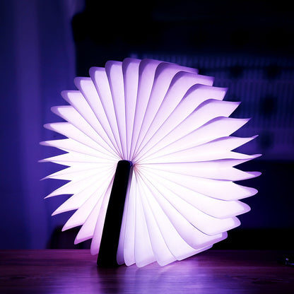 Creative LED Night Light USB Recharge Folding Book Light