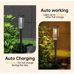 8 Pack Outdoor Solar Pathway Lights  Cold White For Garden