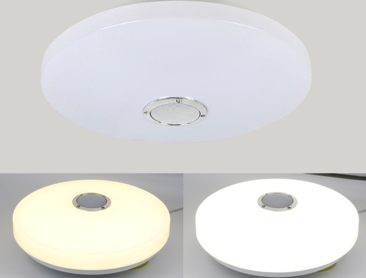 Ceiling LED Multifunctional Light