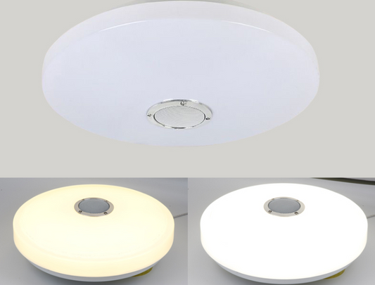 Ceiling LED Multifunctional Light