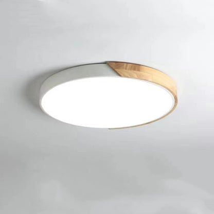 Creative Modern Minimalist Ceiling Lamp