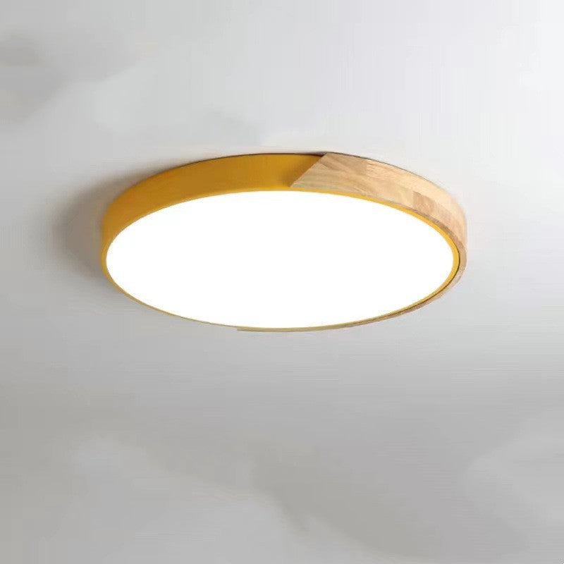 Creative Modern Minimalist Ceiling Lamp