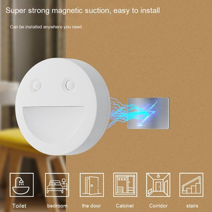 Fashion Smart Small Induction Night Lamp