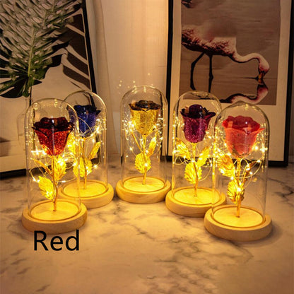 Preserved Fresh Flower Glass Cover Desktop Decoration