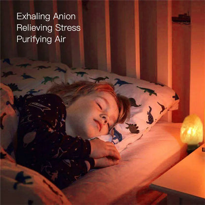 Natural Himalayan Wall Night Light LED Warm Crystal