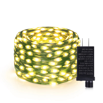 24V LED Christmas lights Green Wire Leather Fairy Lights String