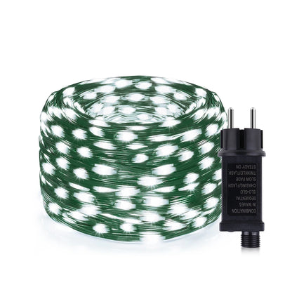 24V LED Christmas lights Green Wire Leather Fairy Lights String