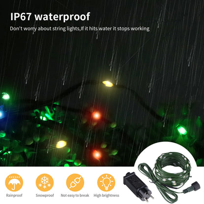 24V LED Christmas lights Green Wire Leather Fairy Lights String