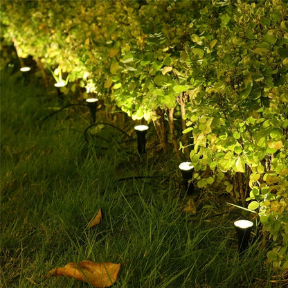 Outdoor Solar Lights Pathway Patio Lawn Ground Lamp
