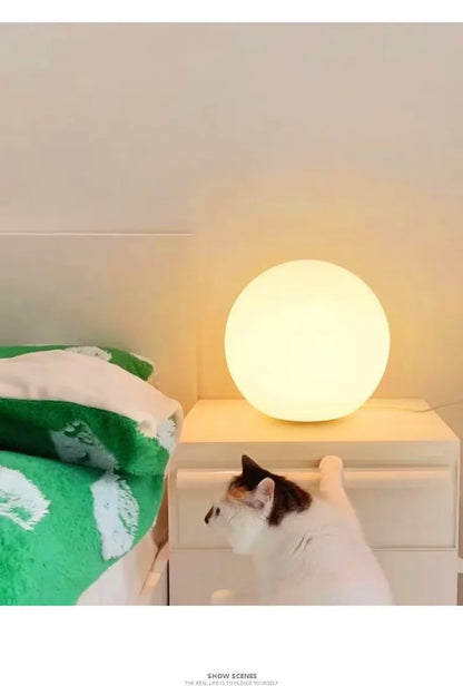 Decorative Ball Table Lamp Bedside Nightlight