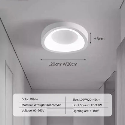 Nordic LED Ceiling Lamp For Living Dining Room Bedroom