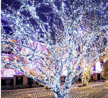 Christmas Lights 5M 10M 20M 30M 50M 100M Led String
