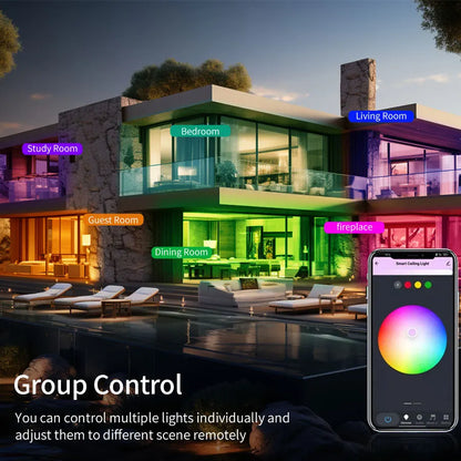 Tuya Smart 2.4G WiFi Ceiling Light RGB Round Ambient Light