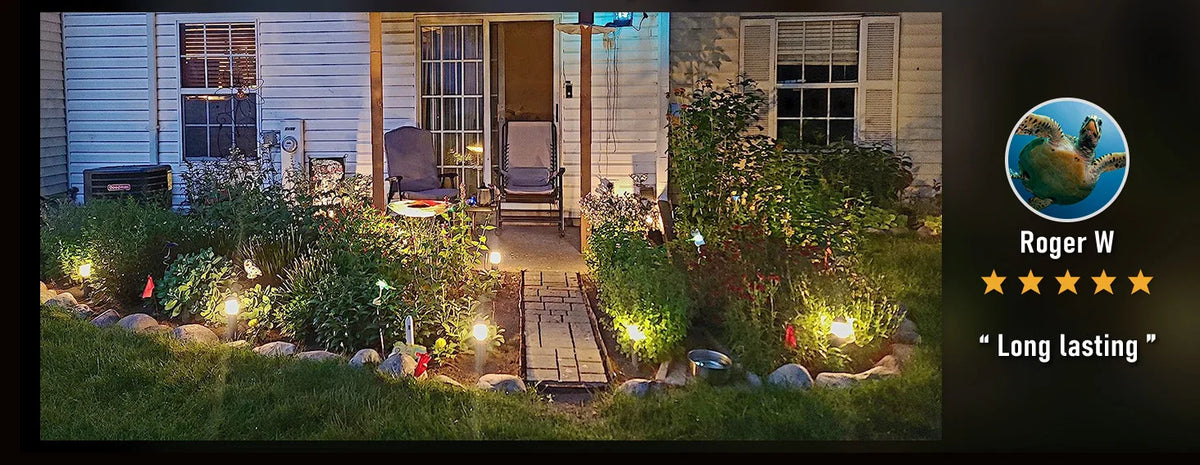 Low Voltage 12V 3W Outdoor Landscape Lighting System