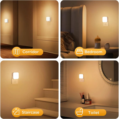 Lights By Night Dimmable LED Night Light