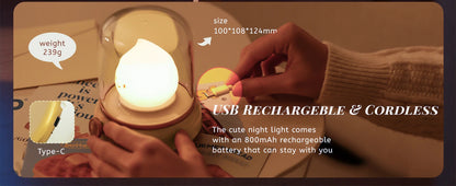 Mini Desktop LED Cute Night Lamp Creative USB Rechargeable