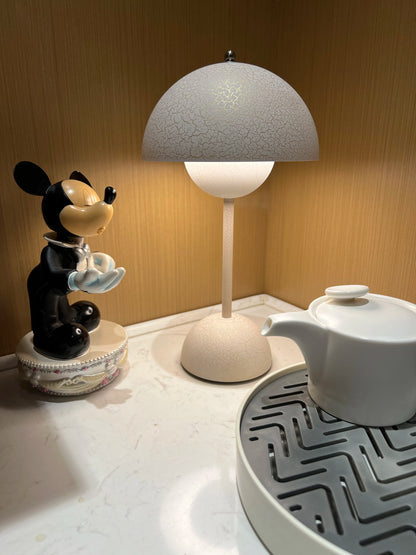 Rechargeable Mood LED Table Lights Bedside Table Lamp