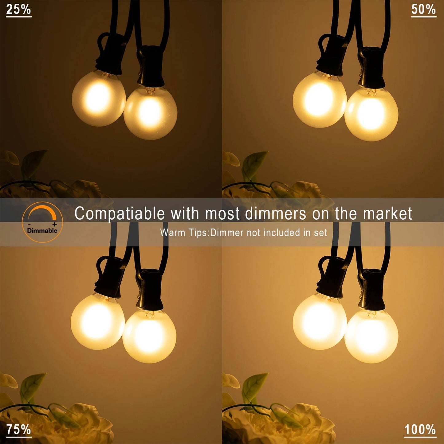 Fairy Outdoor String Lights G40 LED Frosted White Bulbs