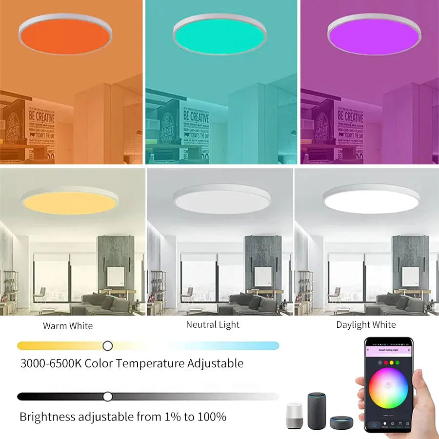 Tuya Smart 2.4G WiFi Ceiling Light RGB Round Ambient Light