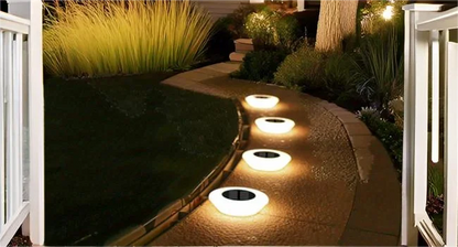 Outdoor Solar Pathway Lights IP65 Rated LED Landscape Lighting