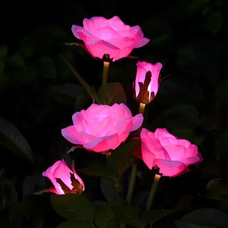 LED Solar 5-heads Rose Flower Outdoor Summer Lawn Lamp
