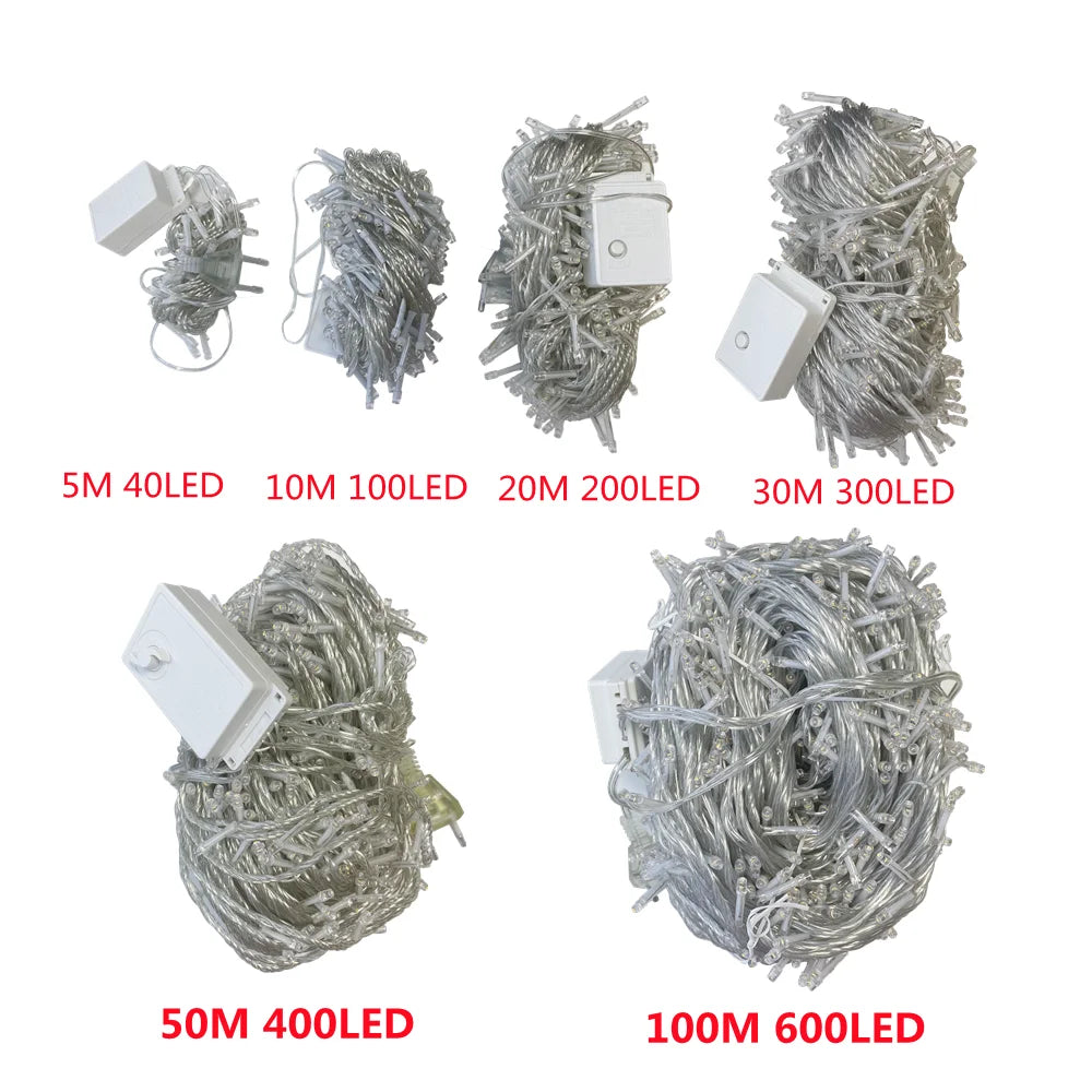 Christmas Lights 5M 10M 20M 30M 50M 100M Led String