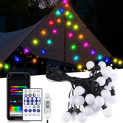 Smart WIFI LED Bulb String Light Fairy Lights