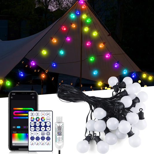 Smart WIFI LED Bulb String Light Fairy Lights