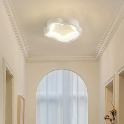 Minimalist LED Ceiling Light Cloakroom Indoor Lighting