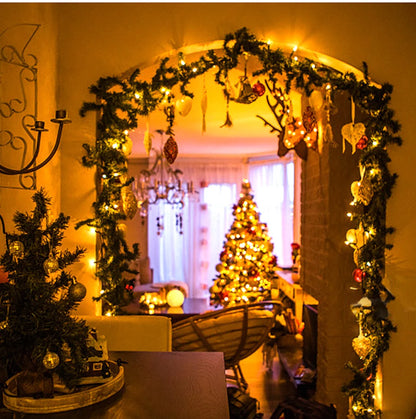 Christmas Outdoor Garden LED String Light 24V Xmas Tree Fairy Lights