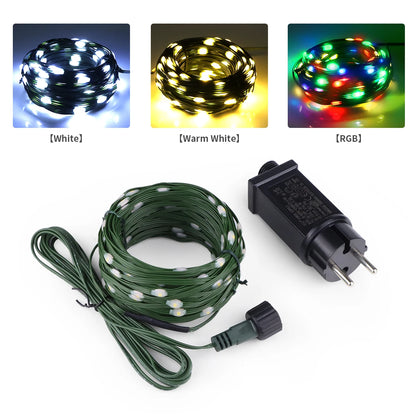 24V LED Christmas lights Green Wire Leather Fairy Lights String