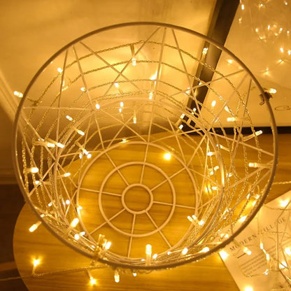 220V EU Plug 20M Outdoor Christmas 200 LED String Light