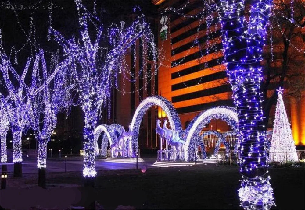 Christmas Lights 5M 10M 20M 30M 50M 100M Led String