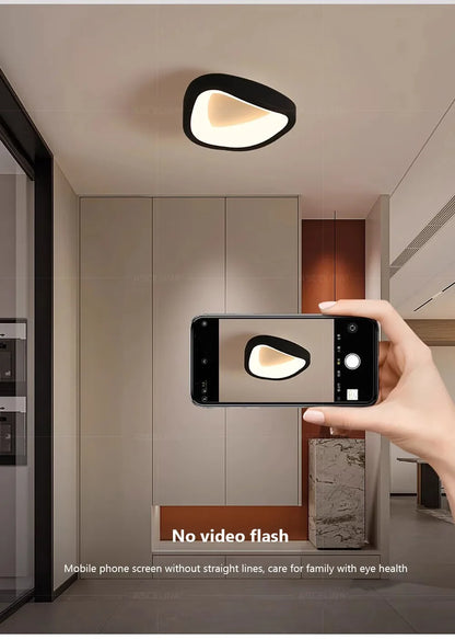 Nordic LED Ceiling Lamp For Living Dining Room Bedroom