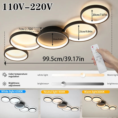 LED Ceiling Light 110v 220v 3 Colors Dimming Modern Lamp