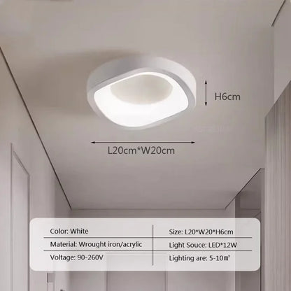 Nordic LED Ceiling Lamp For Living Dining Room Bedroom