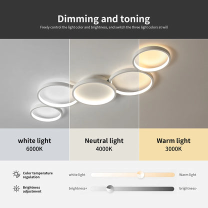 LED Ceiling Light 110v 220v 3 Colors Dimming Modern Lamp