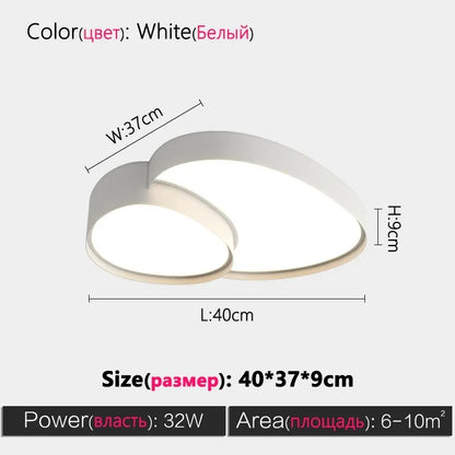 Remote Control Light Modern Simple LED Ceiling Lamp
