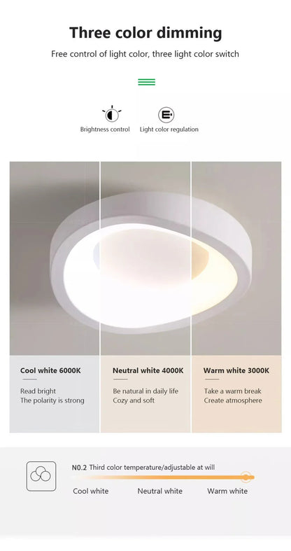 Nordic LED Ceiling Lamp For Living Dining Room Bedroom