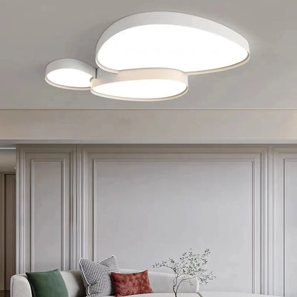 Remote Control Light Modern Simple LED Ceiling Lamp