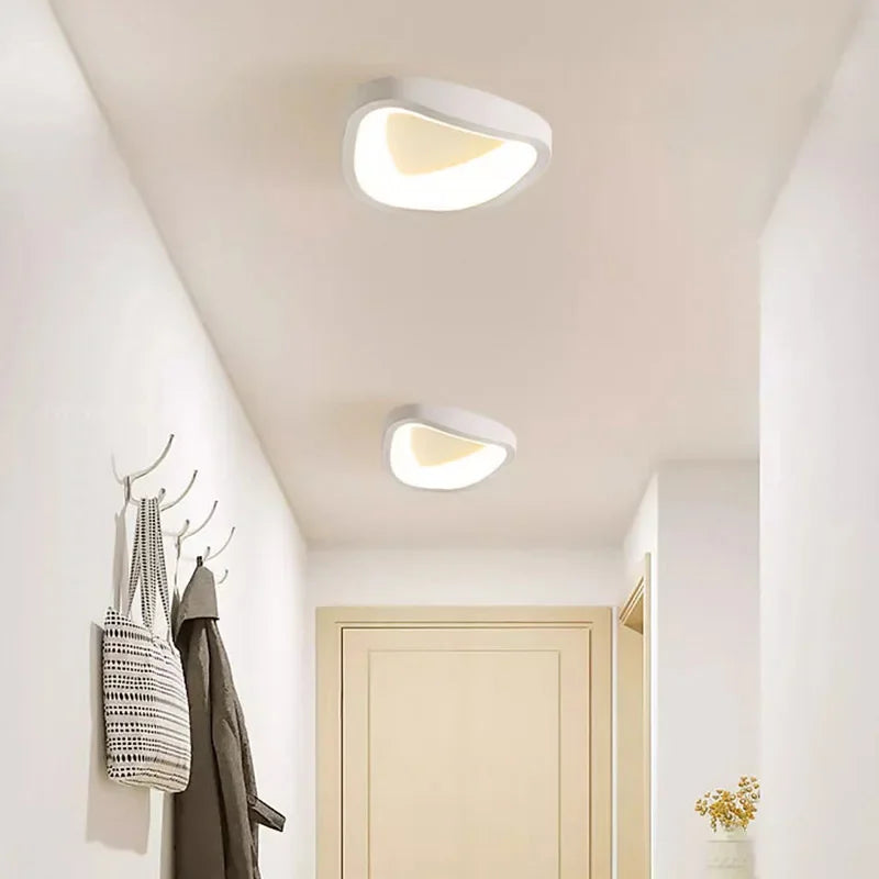 Nordic LED Ceiling Lamp For Living Dining Room Bedroom