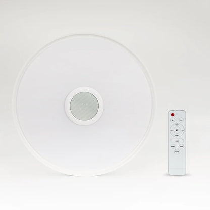 TUYA Ceiling Lamps Modern Music Light RGB Home Lighting