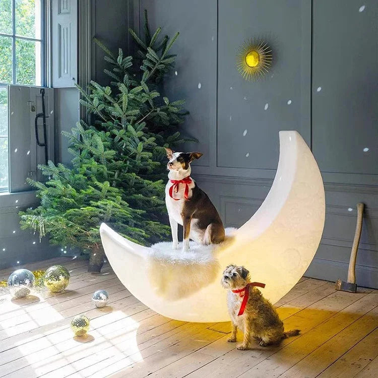 Moon Lamp Floor Lamp Lounge Chair Creative Romantic Design