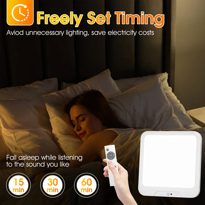 Rechargeable Ceiling Light with Remote Lights Motion