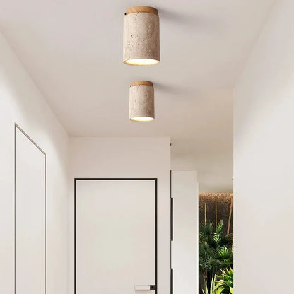 Japanese Style LED Ceiling Lamp Round Downlight Surface